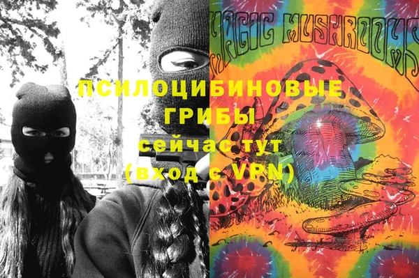 дживик Алексин