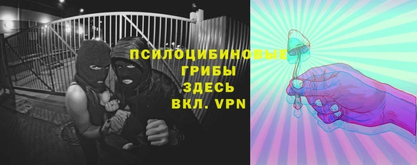 гашик Алексеевка
