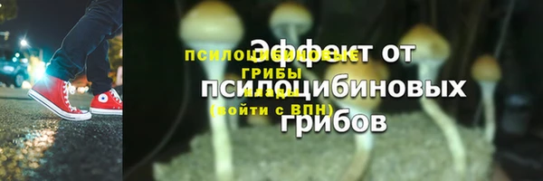 стафф Алзамай