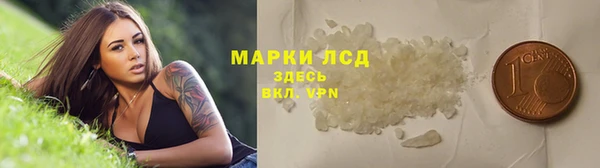 стафф Алзамай