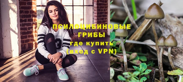 гашик Алексеевка