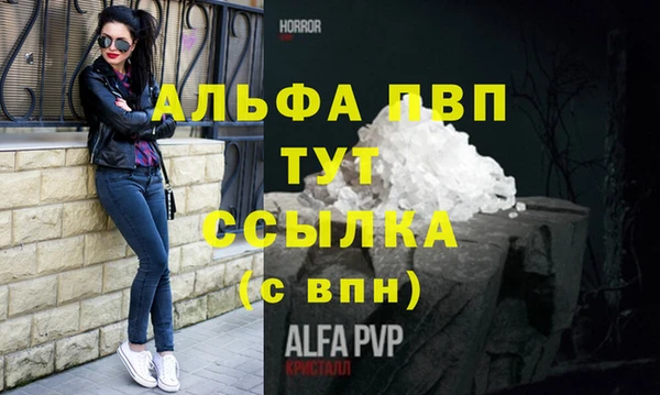гашик Алексеевка
