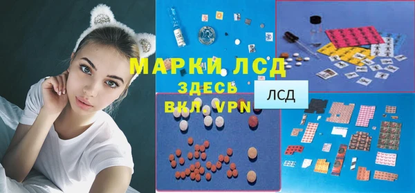 гашик Алексеевка